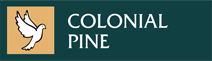 Colonial Pine